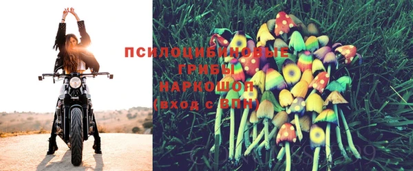не бодяженный Армянск