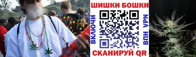 KRAKEN ТОР  Сясьстрой  Бошки Шишки планчик 